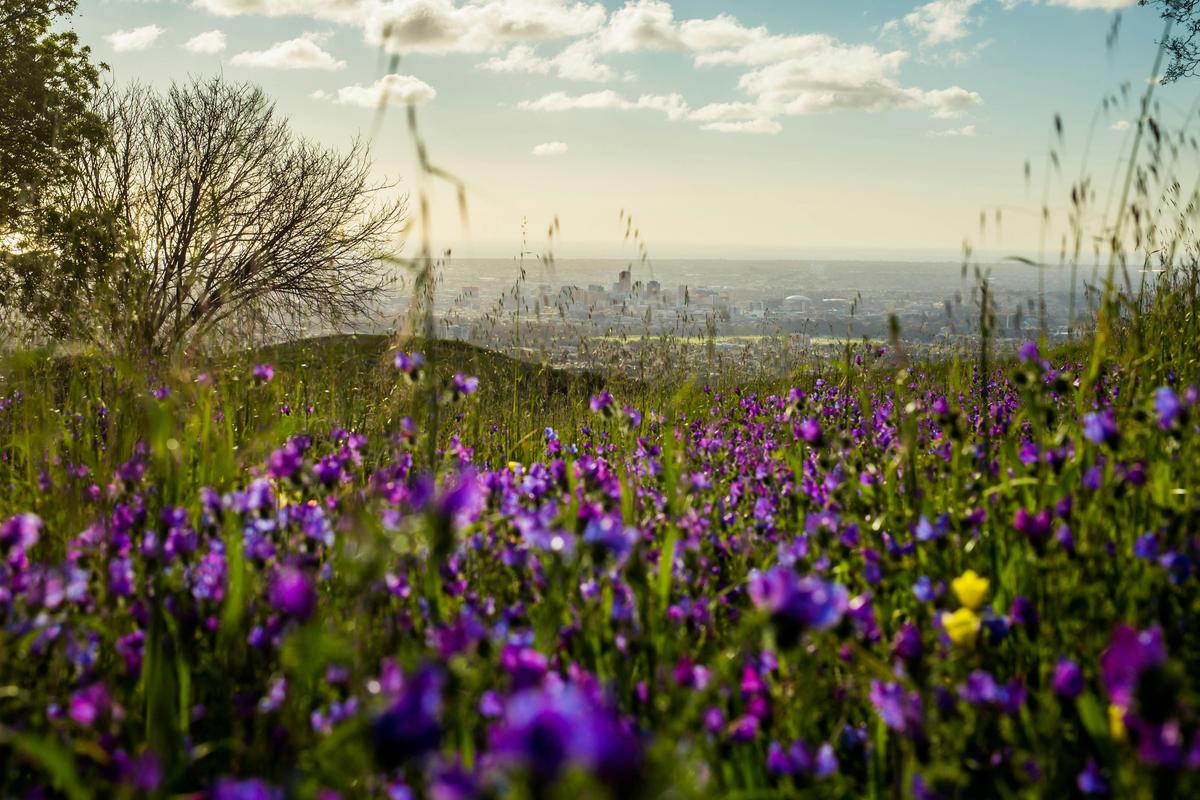 Best of the Adelaide Hills Photography Tour