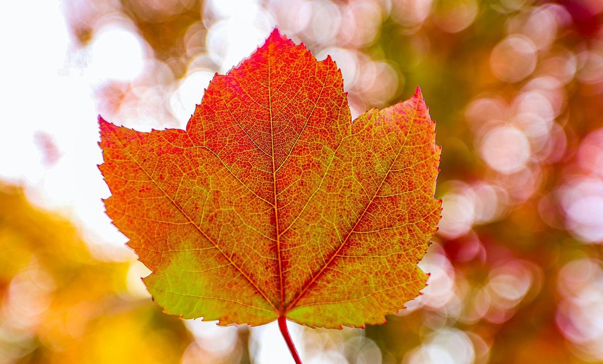 Hills in Colour - Autumn Photography Workshop