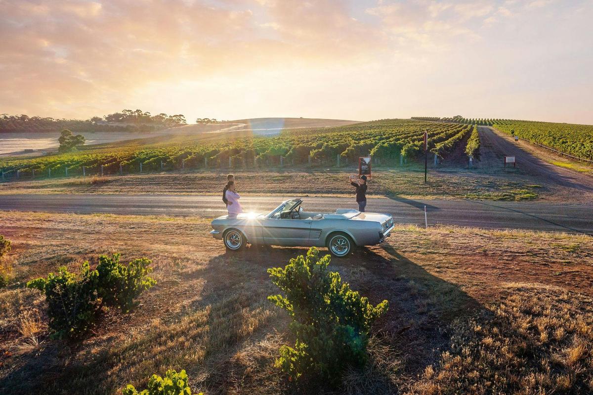 Barossa's Best Tour - Trike, Mustang or Range Rover, 6 hr