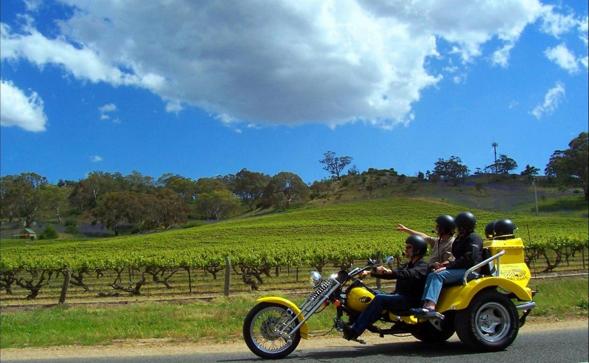 Barossa's Best Tour - Trike, Mustang or Range Rover, 6 hr