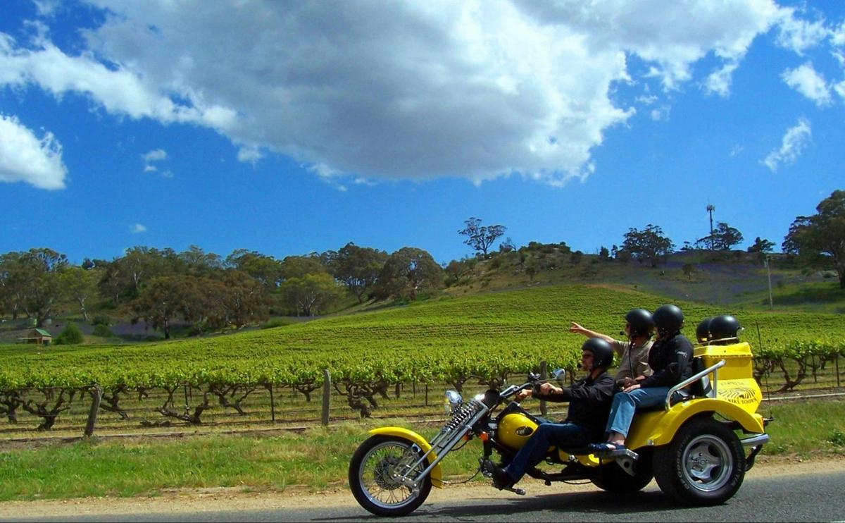 Ultimate Barossa Adventure : Combined Mustang/Trike (7 hr)