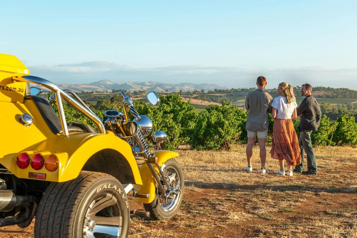 Barossa Sightseeing - 90 Minute Trike Tour