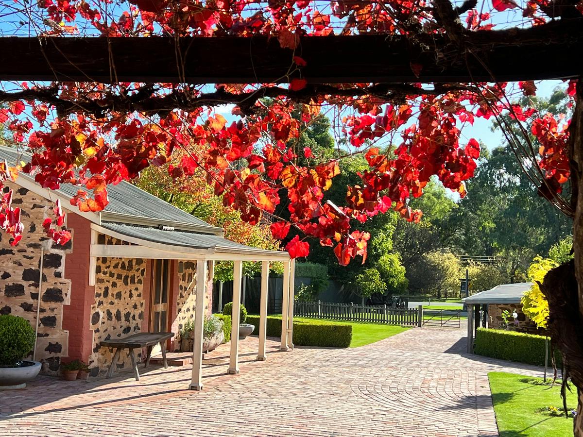 Exclusive Barossa Valley - Private Tour