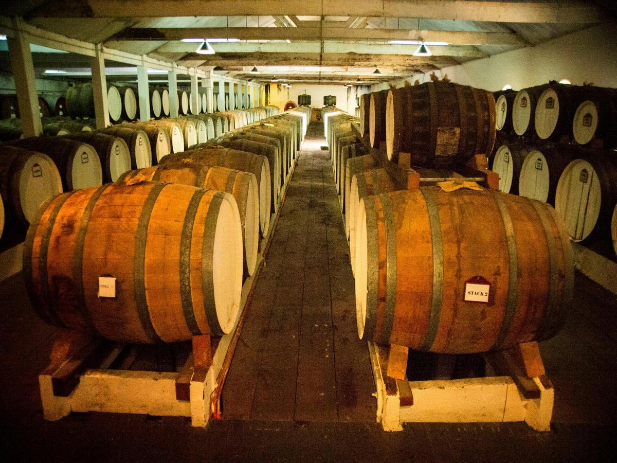 Fruits of the Vine - Private Barossa Valley Tour