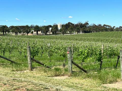 Barossa Valley Voyager - Small Group Tour