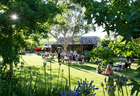 Barristers Block Wines