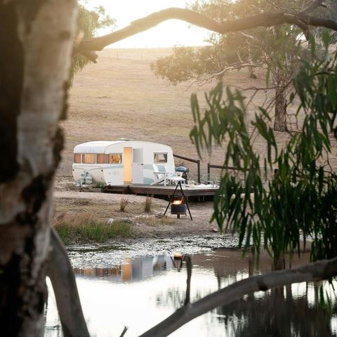 Agatha at Devon Valley Farm Stays