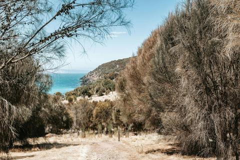 Baudin Conservation Park Ironstone Hill Hike