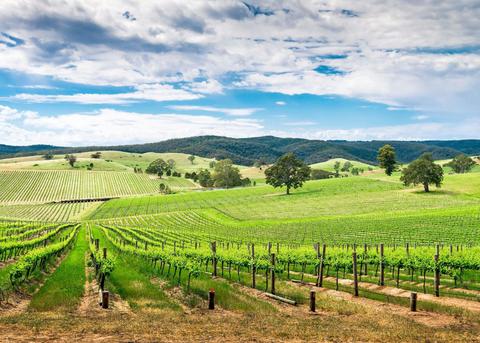 Barossa Valley Wine Tour