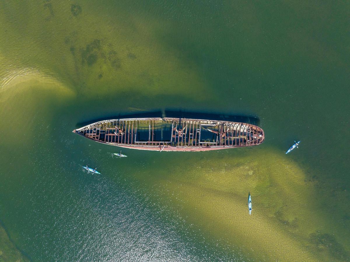 Dolphin Sanctuary & Ships Graveyard Kayak Tour