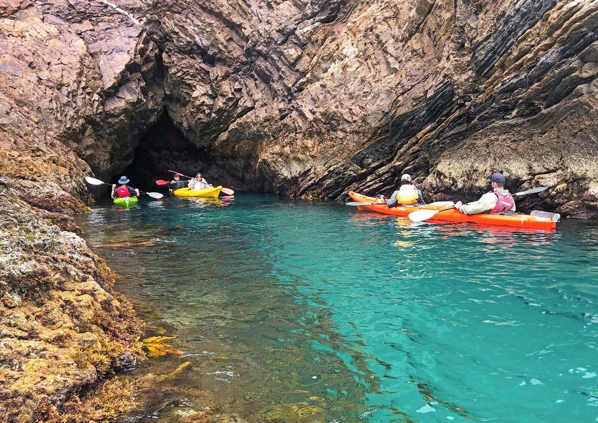 Rapid Bay Sea Kayaking Tour