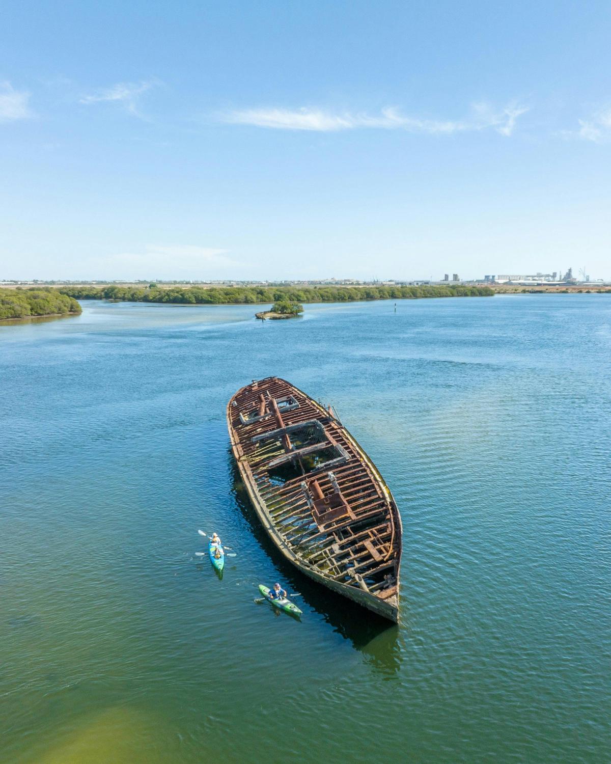 Dolphin Sanctuary & Ships Graveyard Kayak Tour