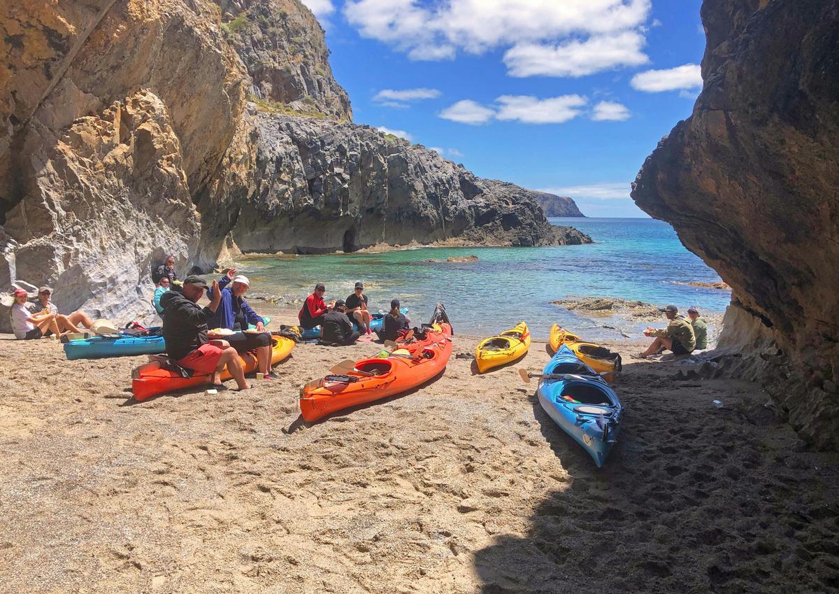 Rapid Bay Sea Kayaking Tour