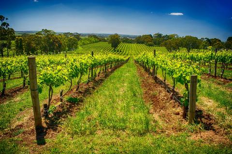 Coast, Vales and Hills - Small Group Tour