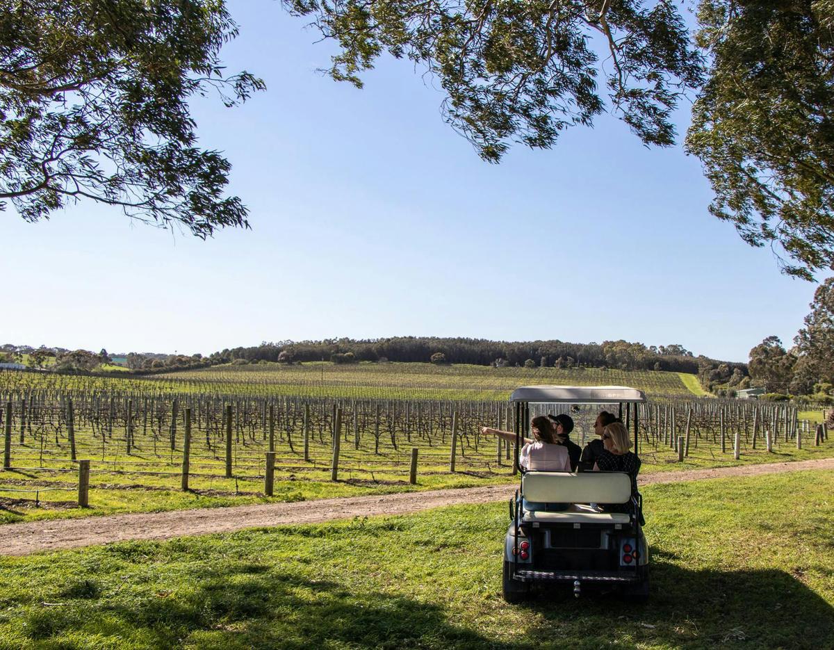 Uniquely McLaren Vale - Private Tour
