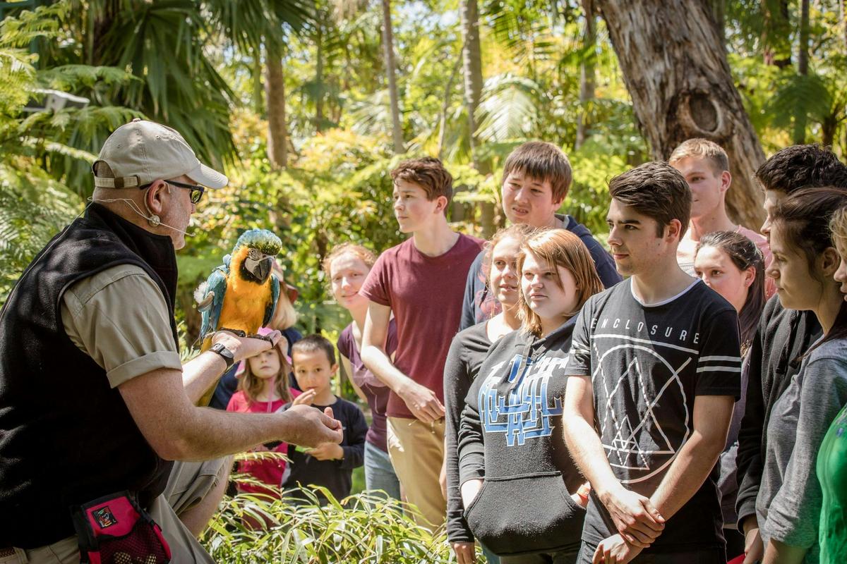 Adelaide Zoo Bird Free Flight