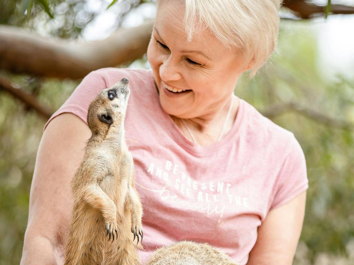 Meerkat Encounter