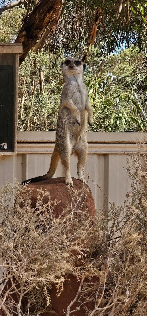 Wild Life and Wine Adventure