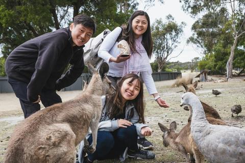 Wild Life and Wine Adventure