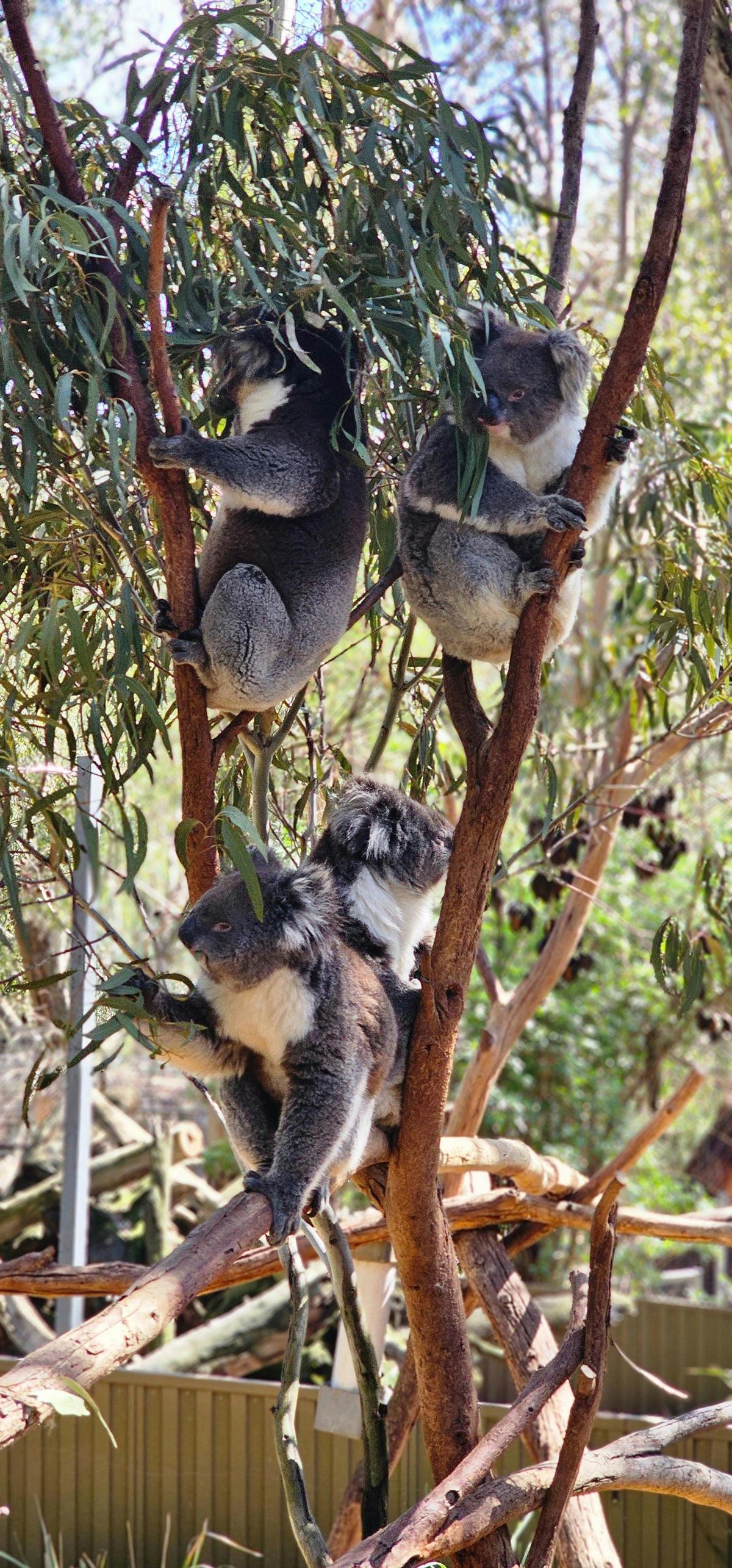 Wild Life and Wine Adventure