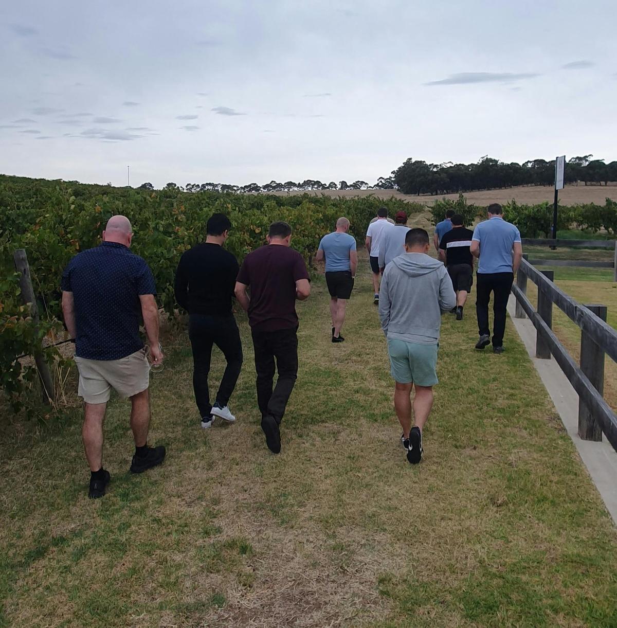 Barossa Guided Tour