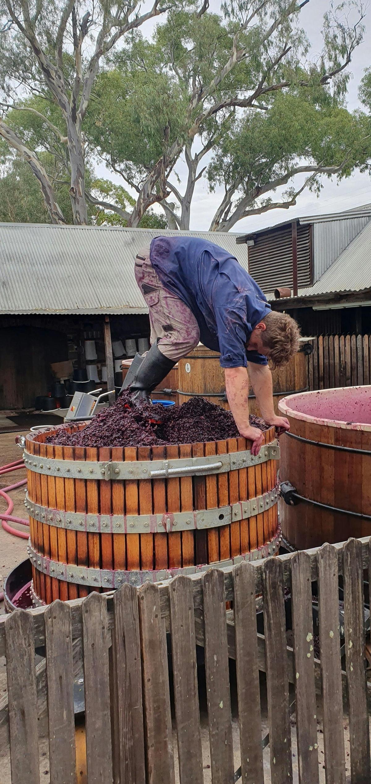 Barossa Guided Tour