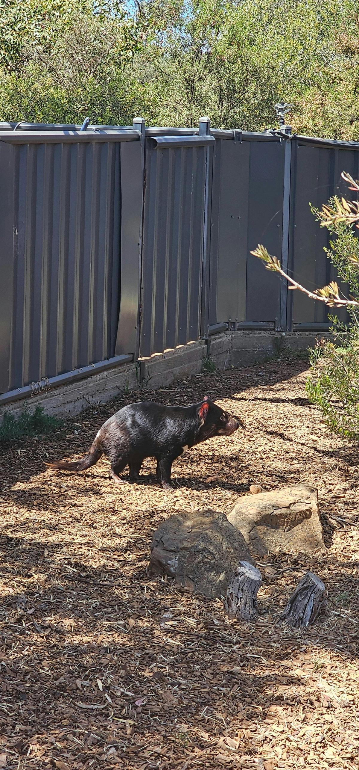 Wild Life and Wine Adventure