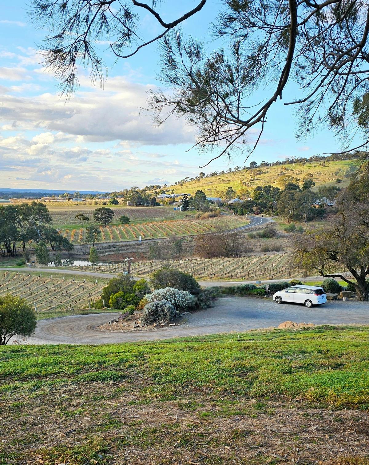 Private Personalised Tours