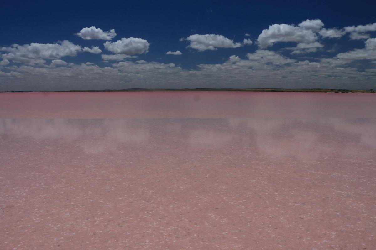 Pink Lake - Lake Bumbunga