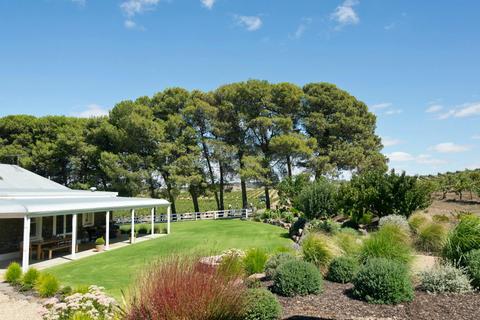 Barossa Art and Wine Private Tour