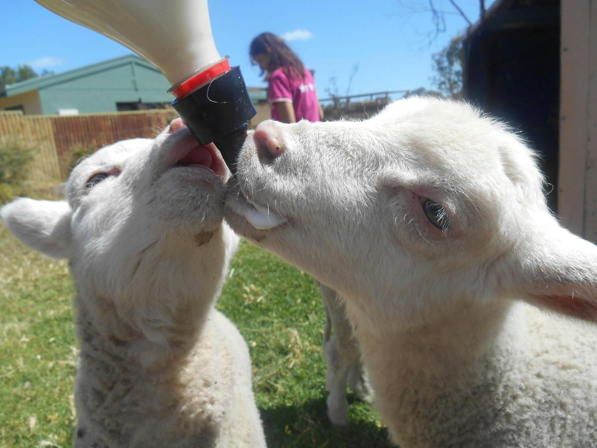 We both want some!