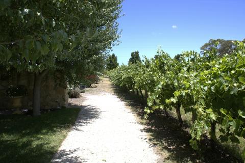 All Valley Wine Tours
