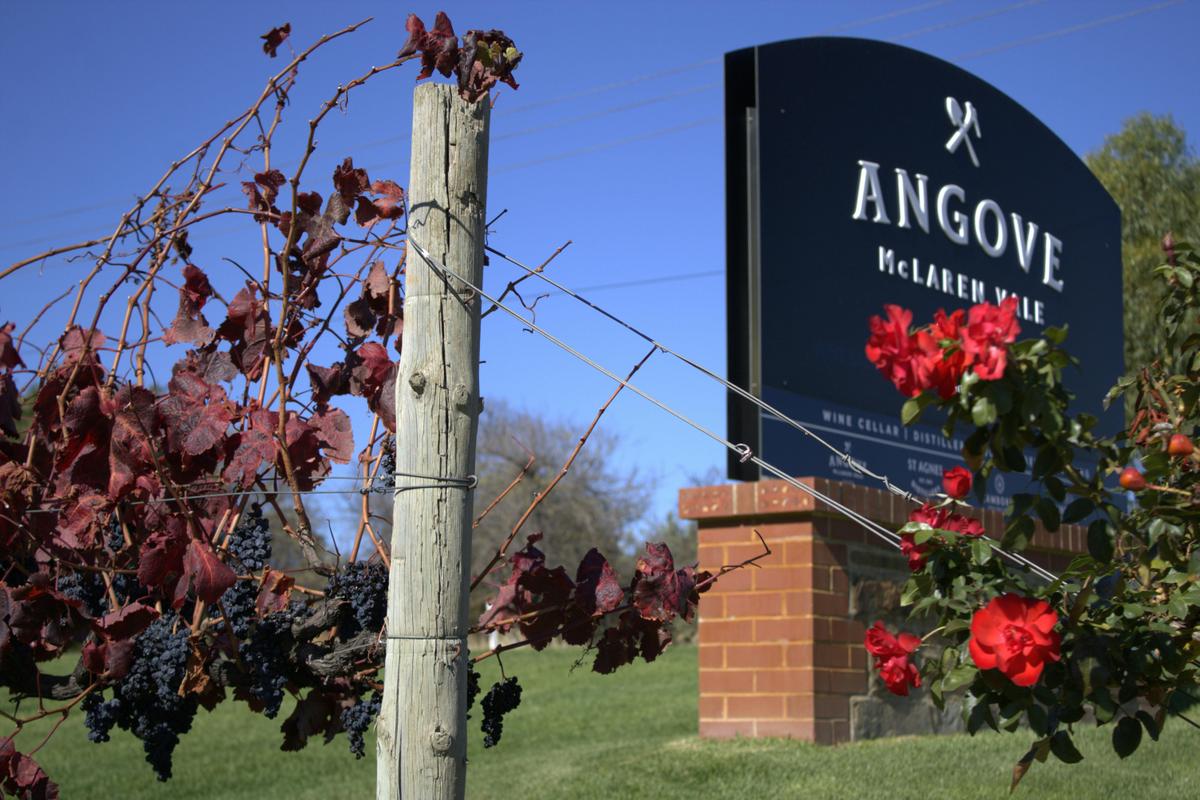 Angoves Winery in McLaren Vale