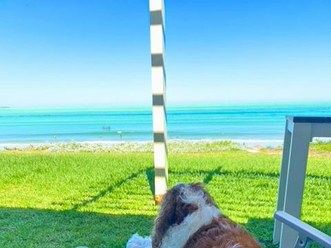 Aldinga Stunning Sea View with Retro Vibes