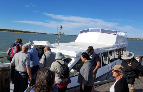 Coorong 3 1/2 hour Discovery Cruise & Tour
