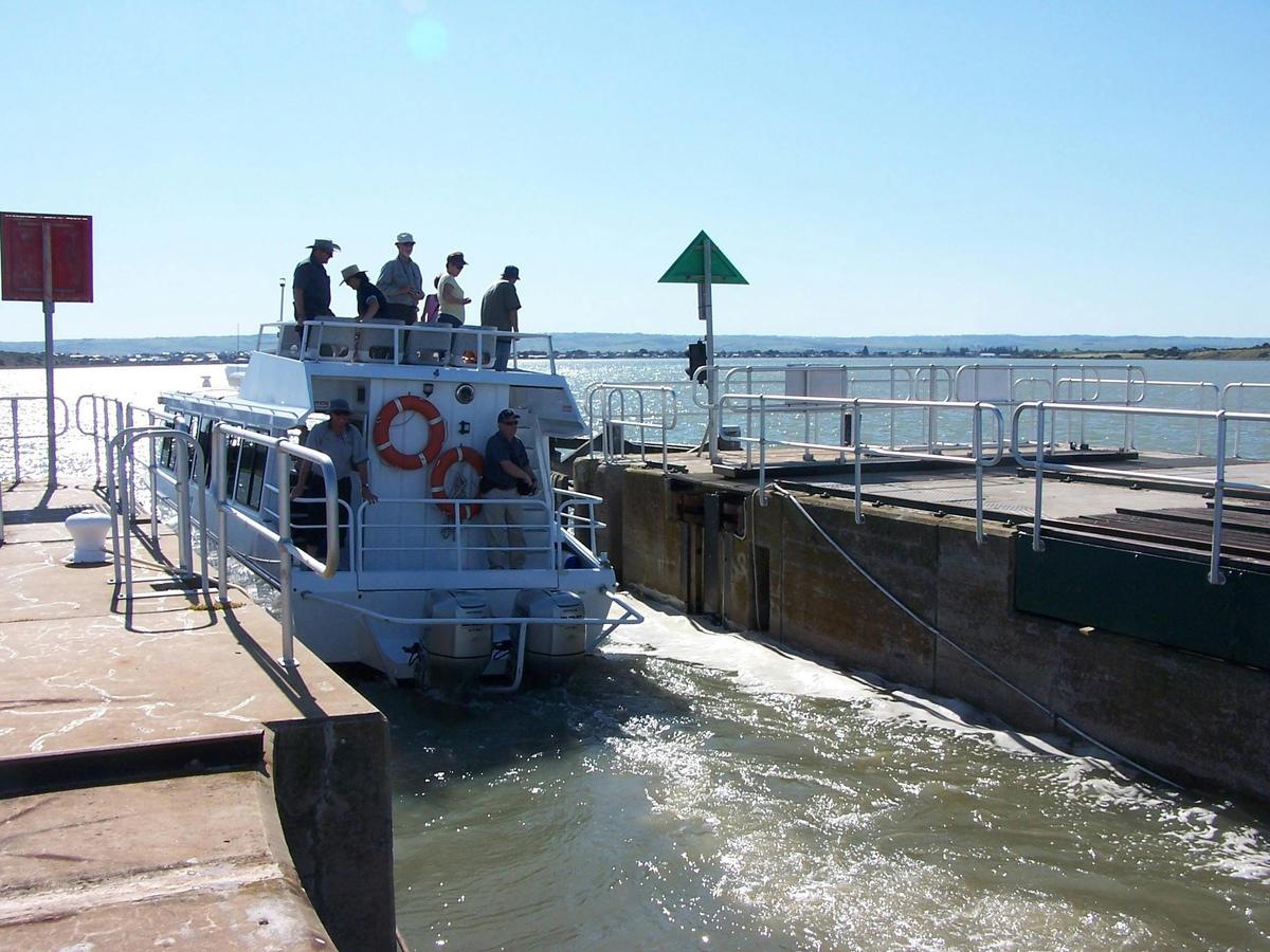 Coorong 3 1/2 hour Discovery Cruise & Tour