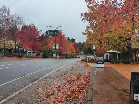 Adelaide Hills / McLaren Vale Food & Wine Tour