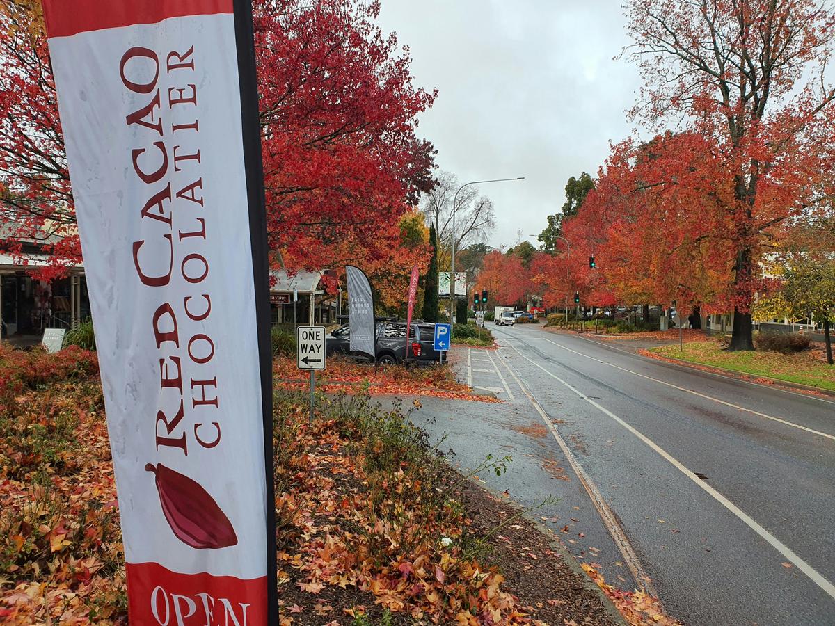 Adelaide Hills / Hahndorf German Village Sightseeing Tour