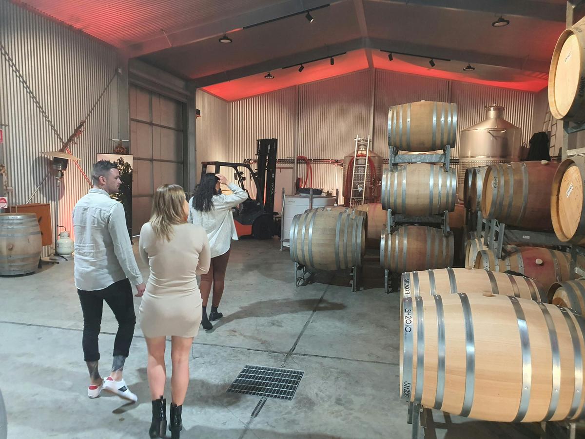 McLaren Vale / d'Arenberg Cube Food & Wine Tour