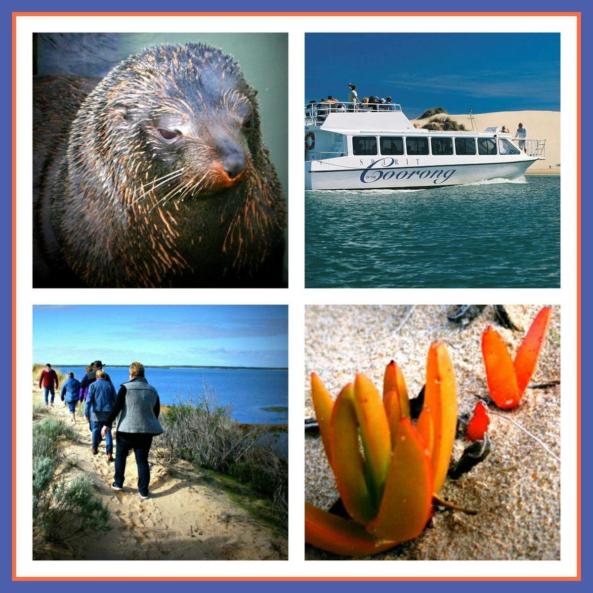 Coorong Adventure 6 Hour Cruise & Tour