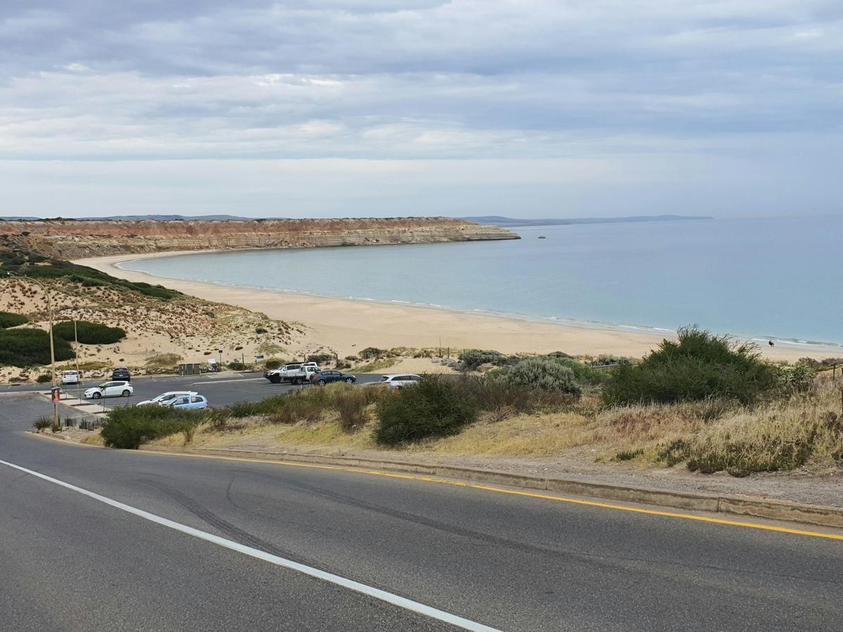McLaren Vale / d'Arenberg Cube Sightseeing Tour