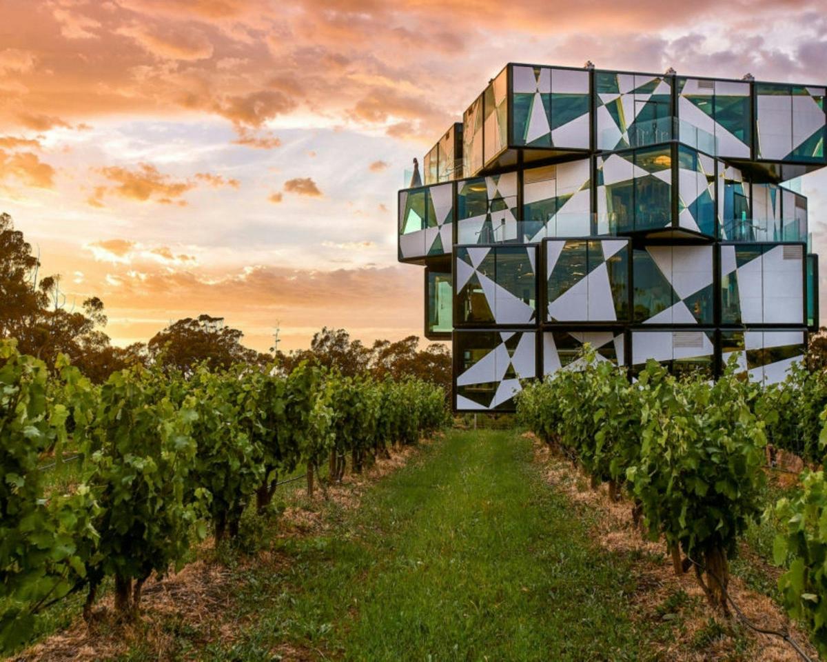 McLaren Vale / d'Arenberg Cube Sightseeing Tour