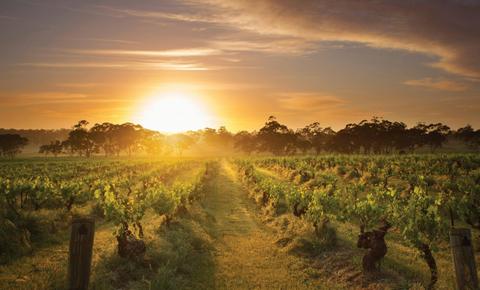 Barossa Valley Food & Wine Tour