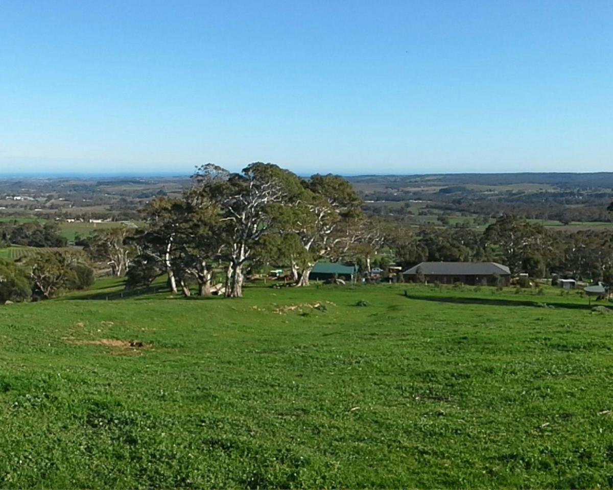 McLaren Vale / d'Arenberg Cube Sightseeing Tour