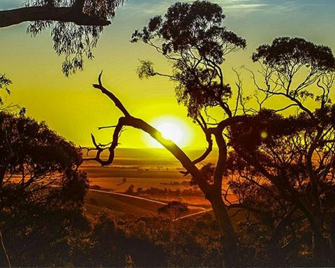 Ambler Touring - Clare Valley Food & Wine Tour
