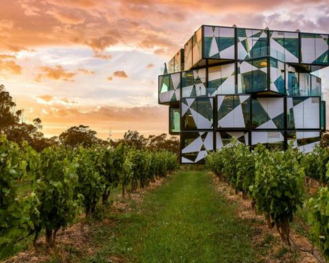 McLaren Vale / d'Arenberg Cube Food & Wine Tour