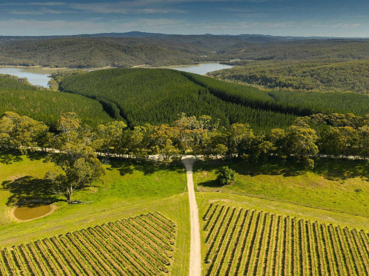 Anvers Wines vineyard on Razorback Road where the Adelaide Hills meet the Fleurieu Peninsula