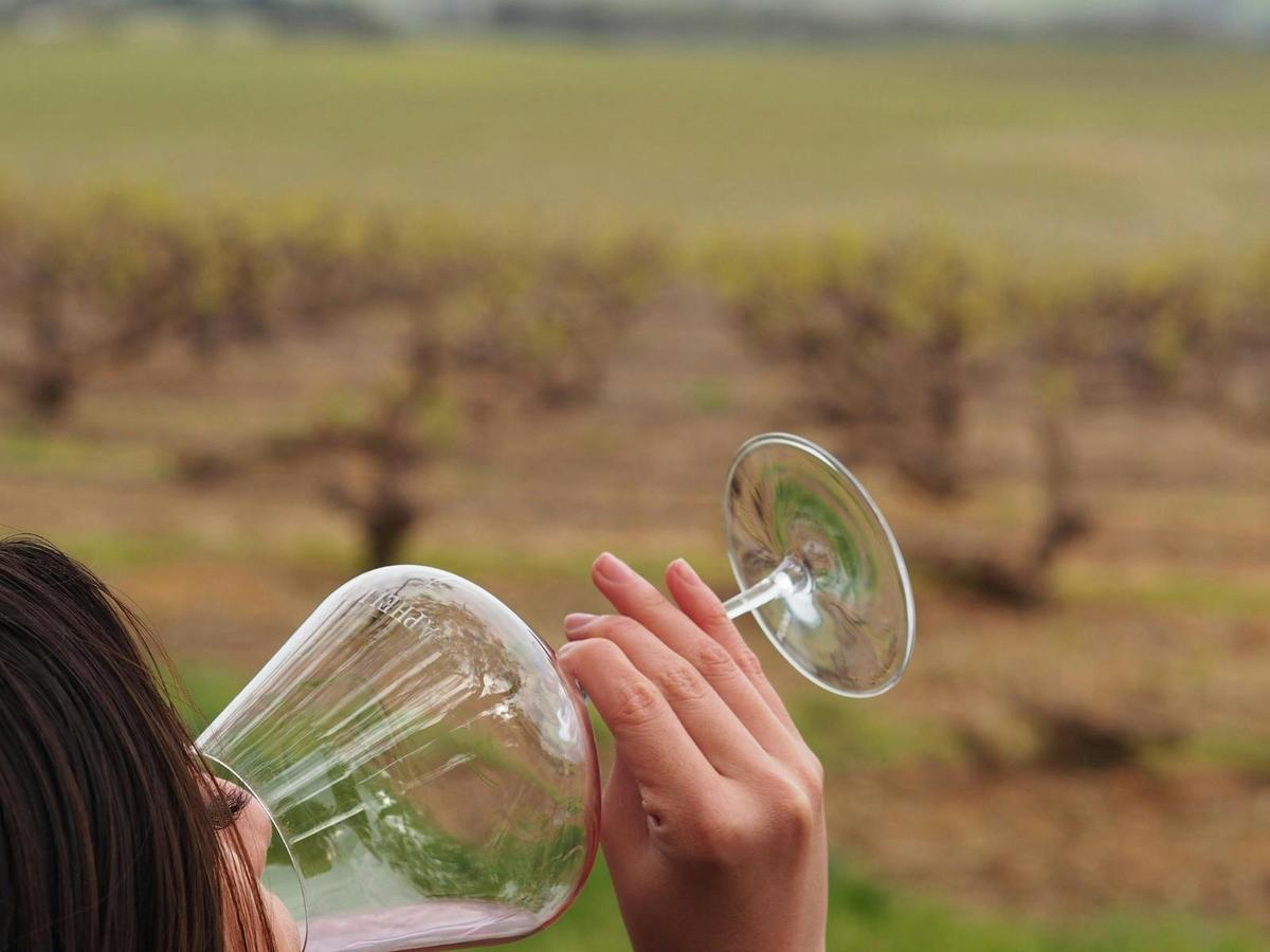 Taste the terroir while you see, smell and touch it
