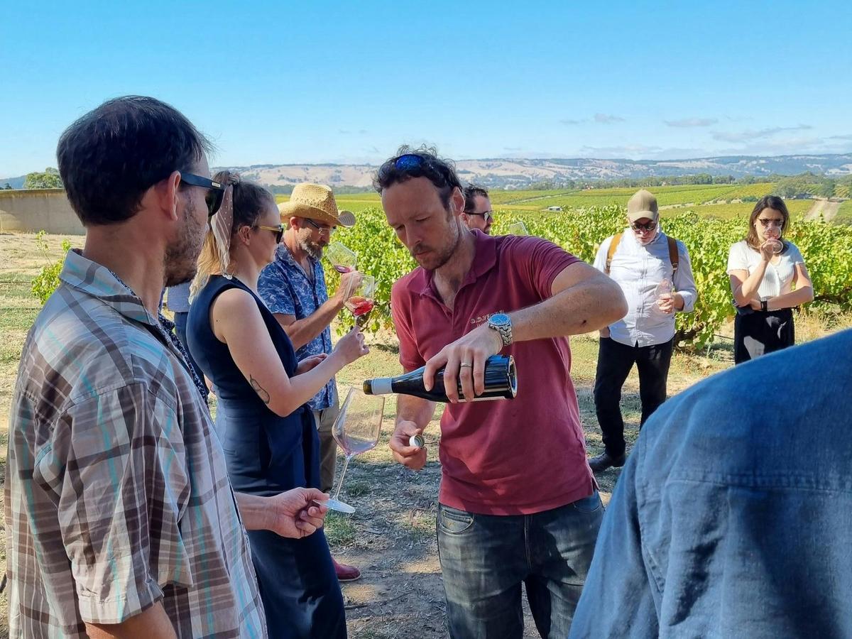 Perfect views to taste wine
