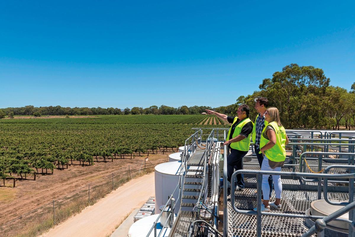 Go beyond the Cellar Door with a guided tour of our historic winery. On Hold during vintage.